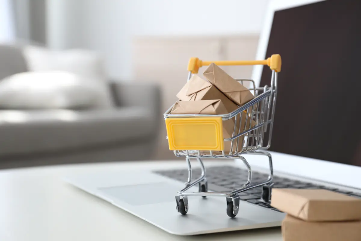 webshop winkelkar online shoppen